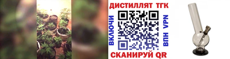 где можно купить   Семикаракорск  Дистиллят ТГК гашишное масло 
